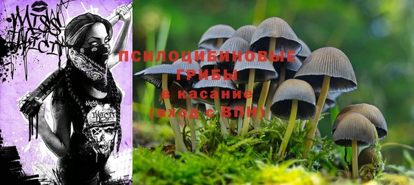 не бодяженный Рославль