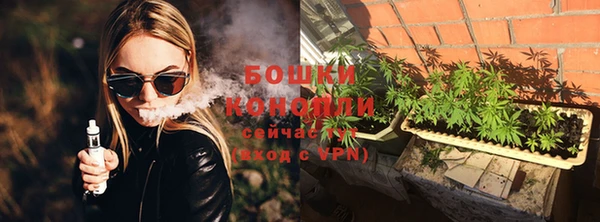 молекула духа Ростов
