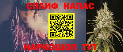 стаф Бийск