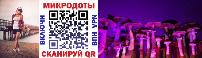 Псилоцибиновые грибы Cubensis  Верхняя Пышма 