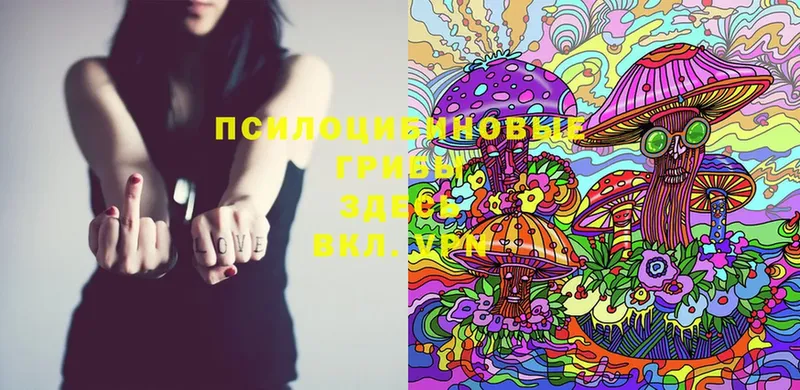 Галлюциногенные грибы Magic Shrooms  МЕГА как войти  Верхняя Пышма 