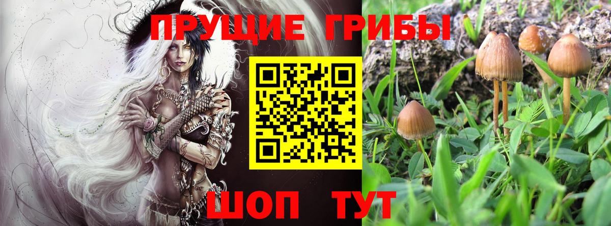 Галлюциногенные грибы Magic Shrooms  Верхняя Пышма 