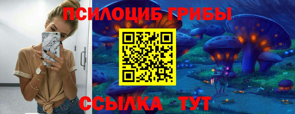Галлюциногенные грибы прущие грибы  Псилоцибиновые грибы Psilocybe  Верхняя Пышма  Вход с VPN 