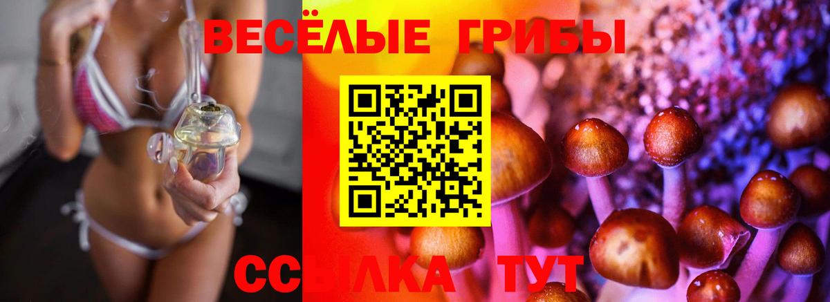 Галлюциногенные грибы мицелий Верхняя Пышма